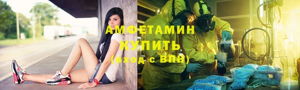 ГАЛЛЮЦИНОГЕННЫЕ ГРИБЫ Бородино