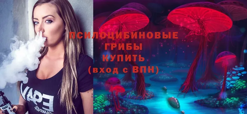 Галлюциногенные грибы Magic Shrooms  Балашов 